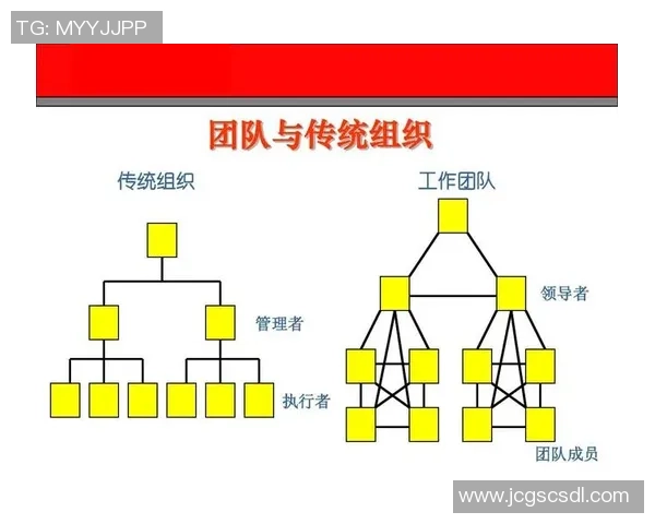 成都篮球队转换体系解析：高效战术与团队协作的完美结合